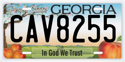 GA license plate CAV8255