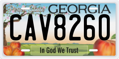 GA license plate CAV8260