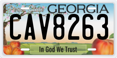 GA license plate CAV8263