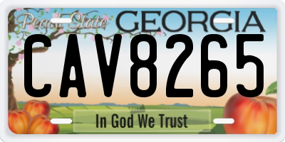 GA license plate CAV8265