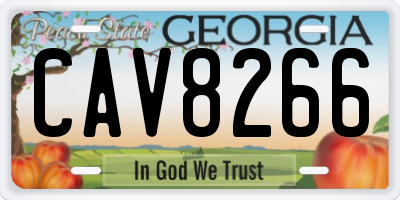 GA license plate CAV8266