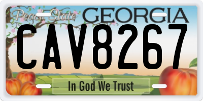 GA license plate CAV8267