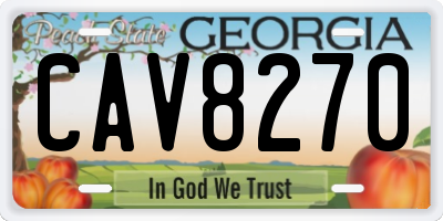 GA license plate CAV8270