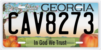 GA license plate CAV8273