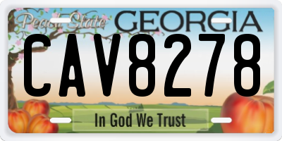 GA license plate CAV8278