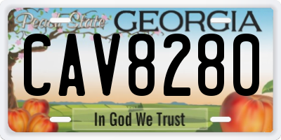 GA license plate CAV8280