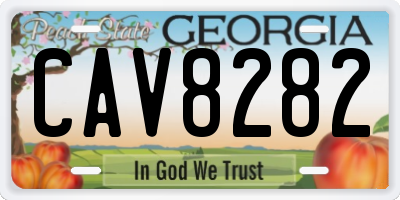 GA license plate CAV8282