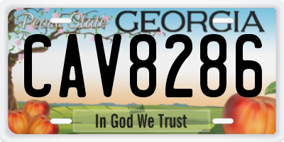 GA license plate CAV8286