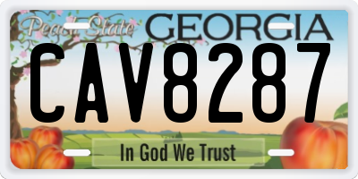 GA license plate CAV8287