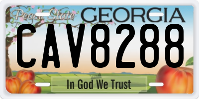 GA license plate CAV8288