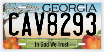 GA license plate CAV8293