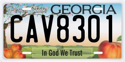 GA license plate CAV8301