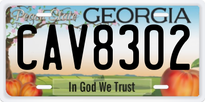 GA license plate CAV8302