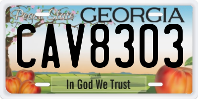 GA license plate CAV8303