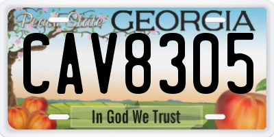 GA license plate CAV8305