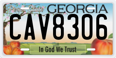 GA license plate CAV8306