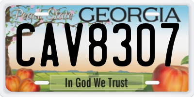 GA license plate CAV8307