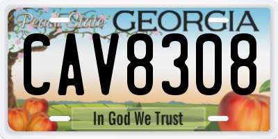 GA license plate CAV8308