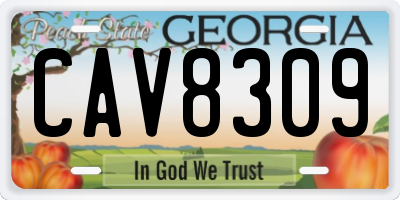 GA license plate CAV8309