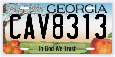 GA license plate CAV8313