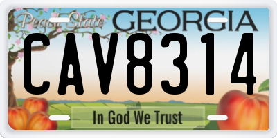GA license plate CAV8314