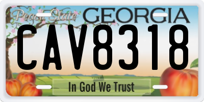 GA license plate CAV8318