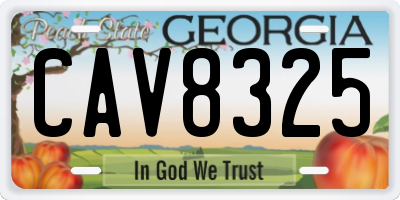 GA license plate CAV8325