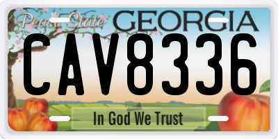 GA license plate CAV8336