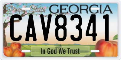 GA license plate CAV8341