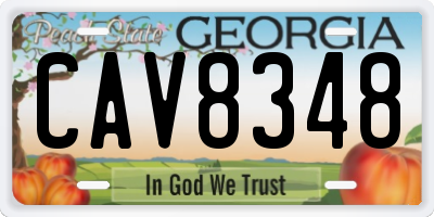 GA license plate CAV8348