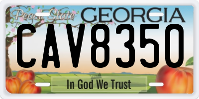 GA license plate CAV8350