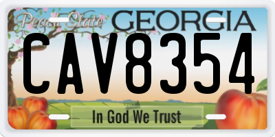 GA license plate CAV8354