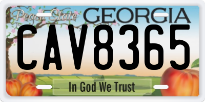 GA license plate CAV8365