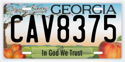 GA license plate CAV8375