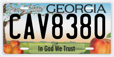 GA license plate CAV8380