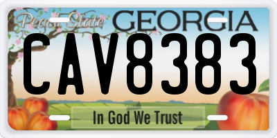 GA license plate CAV8383