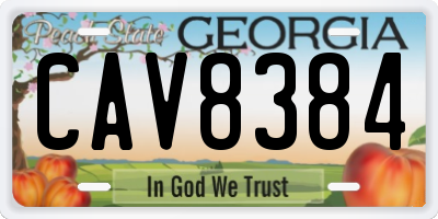 GA license plate CAV8384