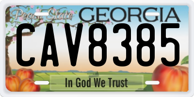 GA license plate CAV8385