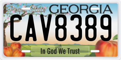 GA license plate CAV8389