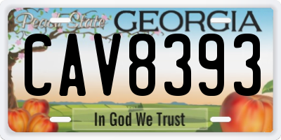 GA license plate CAV8393