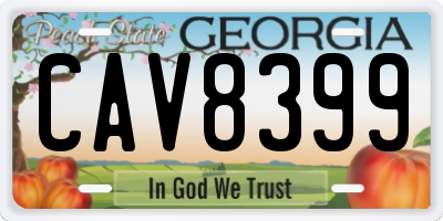 GA license plate CAV8399