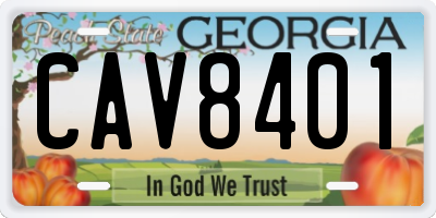 GA license plate CAV8401