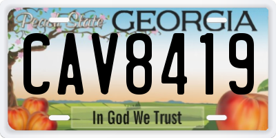 GA license plate CAV8419