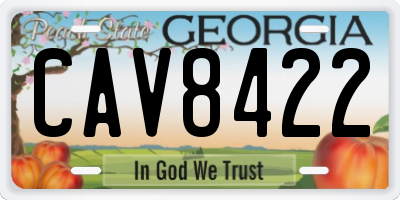 GA license plate CAV8422