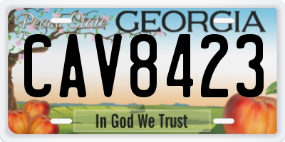 GA license plate CAV8423