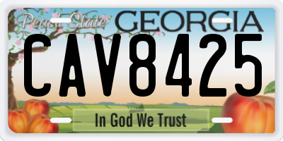 GA license plate CAV8425