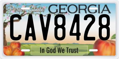GA license plate CAV8428
