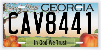 GA license plate CAV8441