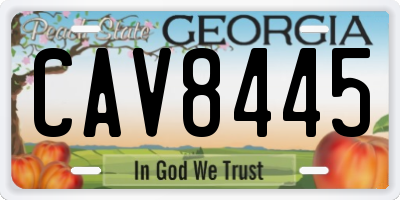 GA license plate CAV8445