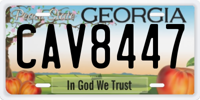 GA license plate CAV8447